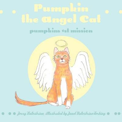 Pumpkin the Angel Cat: Pumpkins 1st Mission