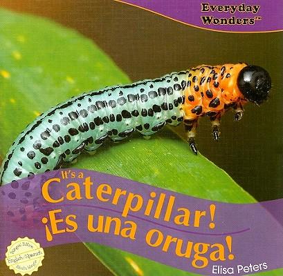It's a Caterpillar! / ¡Es Una Oruga!