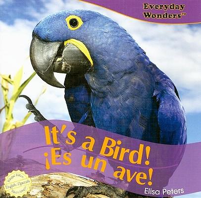It's a Bird! / ¡Es Un Ave!