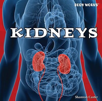 Kidneys
