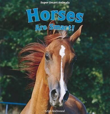 Horses Are Smart!