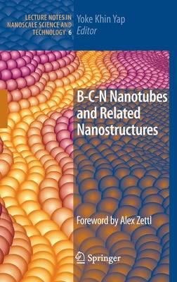 B-C-N Nanotubes and Related Nanostructures