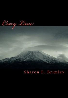 Crazy Lane: Entrance to the Screenplay, Shades of Grace