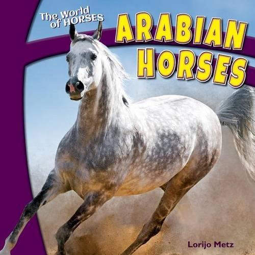 Arabian Horses