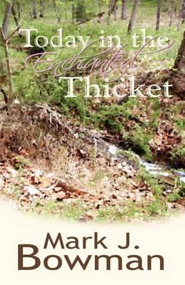 Today in the Enchanted Thicket