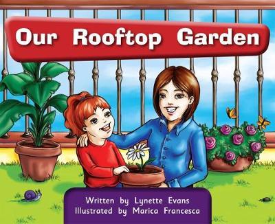 Springboard Connect 4b Our Rooftop Garden