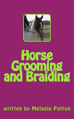 Horse Grooming and Braiding