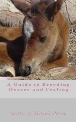 A Guide to Breeding Horses and Foaling