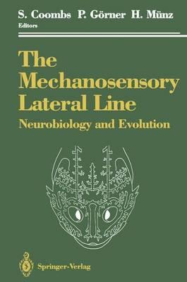 The Mechanosensory Lateral Line: Neurobiology and Evolution