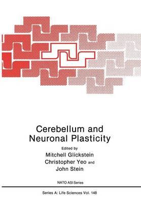 Cerebellum and Neuronal Plasticity