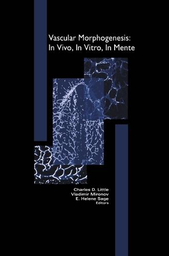 Vascular Morphogenesis: In Vivo, In Vitro, In Mente