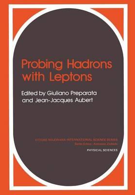 Probing Hadrons with Leptons