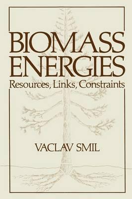 Biomass Energies: Resources, Links, Constraints