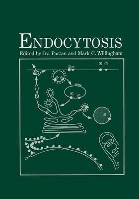 Endocytosis