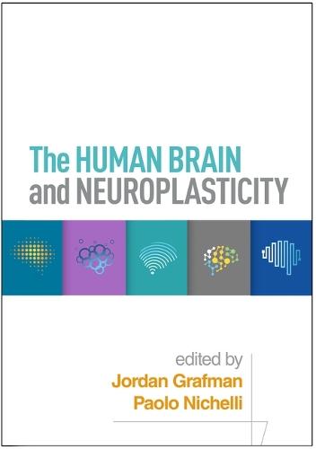 The Human Brain and Neuroplasticity