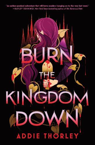 Burn the Kingdom Down: A Young Adult Enemies to Lovers Romantasy