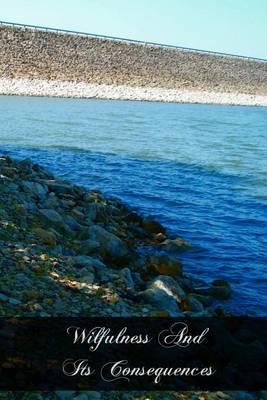 Wilfulness And Its Consequences