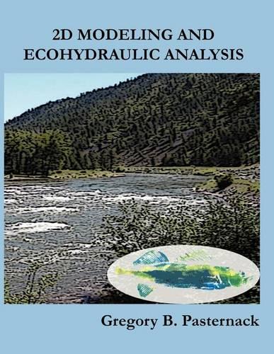 2D Modeling and Ecohydraulic Analysis
