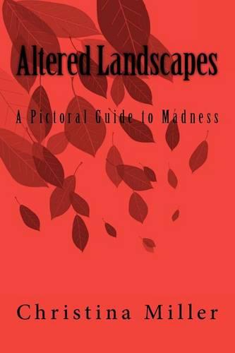 Altered Landscapes: A Pictoral Guide to Madness