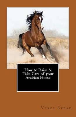How to Raise & Take Care of Your Arabian Horse