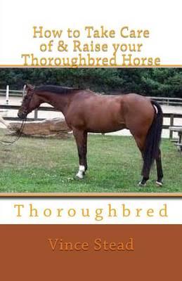 How to Take Care of & Raise Your Thoroughbred Horse