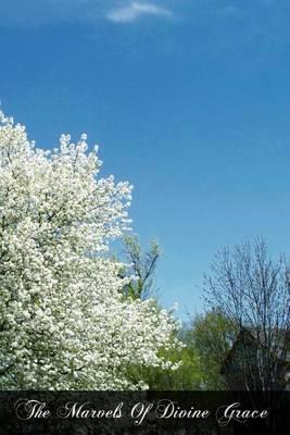The Marvels Of Divine Grace: Meditations Based On The ""Glories Of Divine Grace""