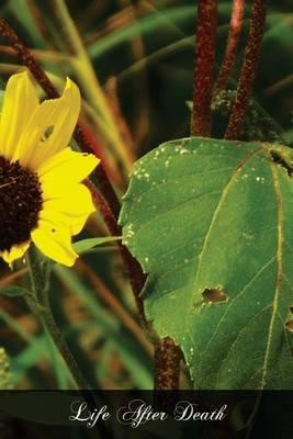 Life After Death: Reason And Revelation On The Immorality Of The Soul