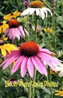 Bloom Where You're Planted