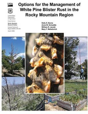 Options for the Management of White Pine Blister Rust in the Rocky Mountain Region