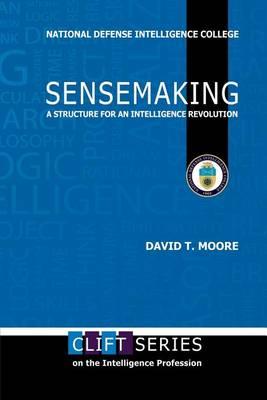 Sensemaking: A Structure for an Intelligence Revolution