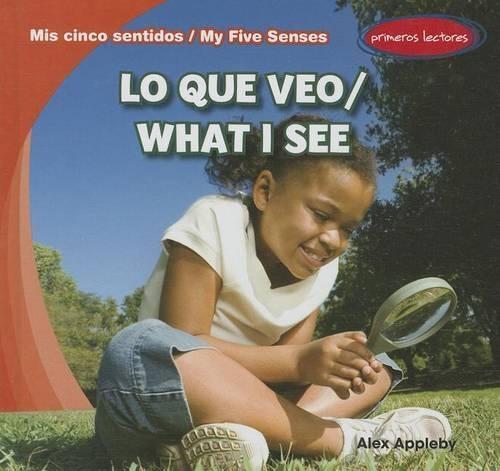 Lo Que Veo / What I See
