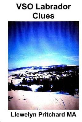 VSO Labrador Clues