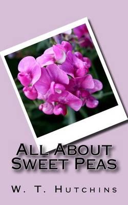 All about Sweet Peas
