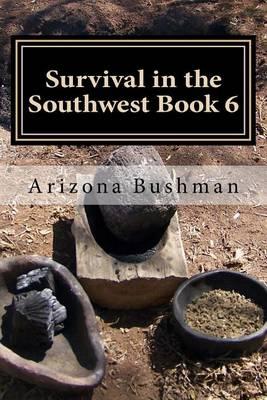 Survival in the Southwest Book 6: Improvising