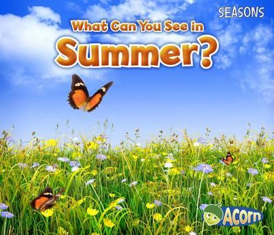 Seasons What Can You See in Summer?
