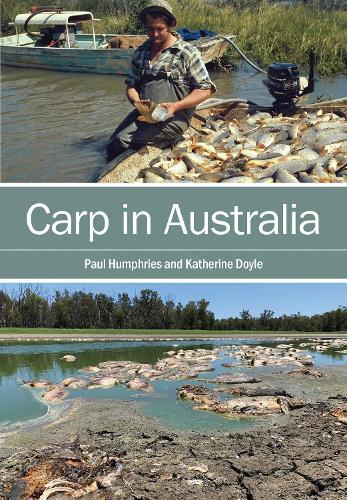 Carp in Australia