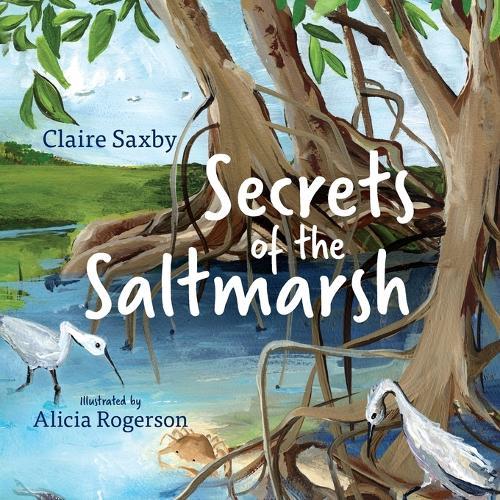 Secrets of the Saltmarsh