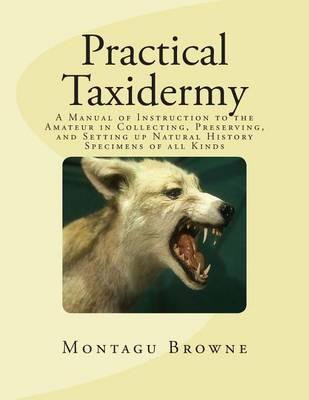 Practical Taxidermy: A Manual of Instruction to the Amateur in Collecting, Preserving, and Setting up Natural History Specimens of all Kinds