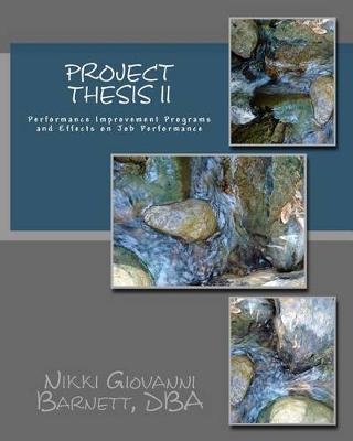 Project Thesis II: Performance Improvement Programs and Effects on Job Performance
