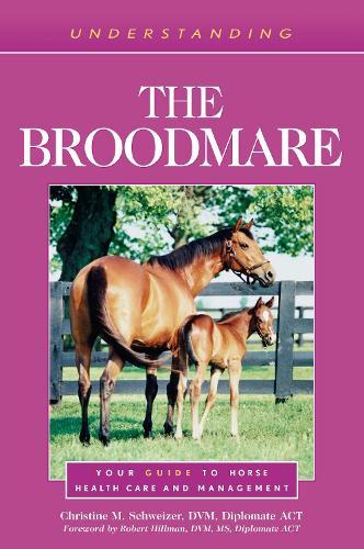 Understanding the Broodmare: Your Guide to Horse Health Care and Management