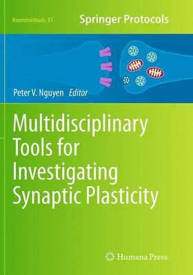 Multidisciplinary Tools for Investigating Synaptic Plasticity