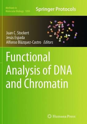 Functional Analysis of DNA and Chromatin