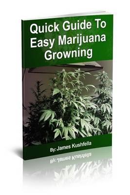 Quick Guide to Easy Marijuana Growning