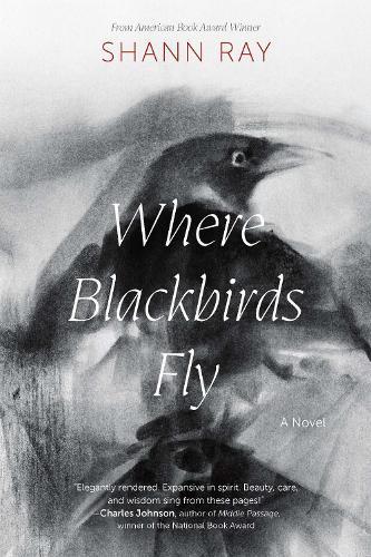Where Blackbirds Fly: A Novel
