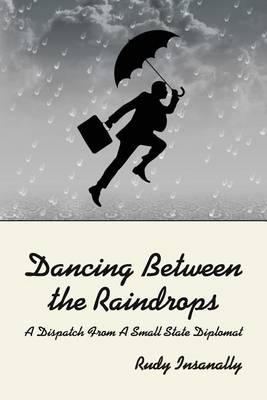 Dancing Between the Raindrops: A Dispatch from A Small State Diplomat