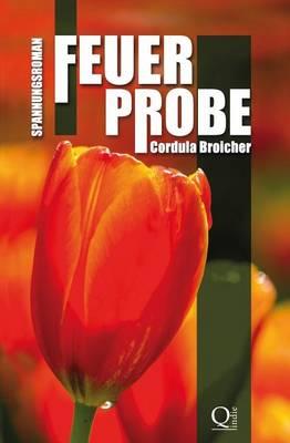 Feuerprobe: Spannungsroman
