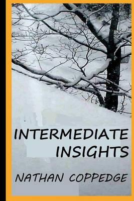 Intermediate Insights: Thoughts Between Epiphanies and the Commonsense