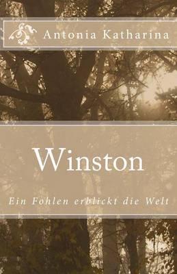 Winston: Ein Fohlen erblickt die Welt