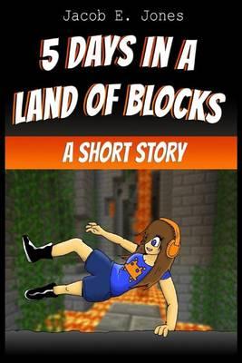 5 Days in a Land of Blocks: A Short Story