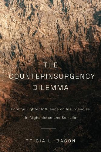 The Counterinsurgency Dilemma: Foreign Fighter Influence on Insurgencies in Afghanistan and Somalia